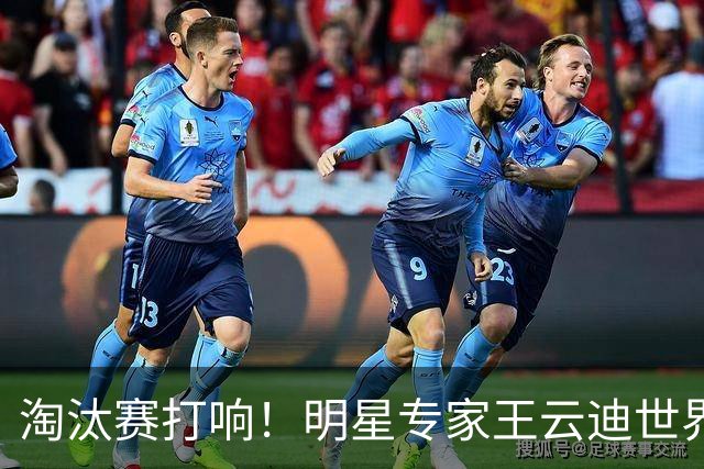 淘汰赛打响！明星专家王云迪世界杯7连红领衔红单